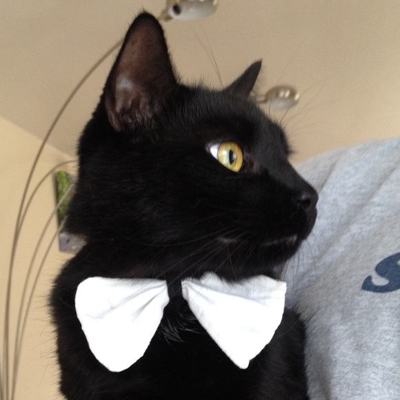 Meet your Posher, Lepetit - Picture 11 of 14